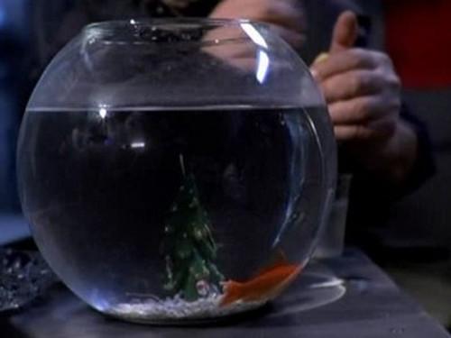 Boris Season 1 Episode 8 - Merry Christmas