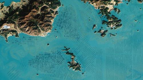 What on Earth? Season 2 Episode 6 - Hidden Tomb of Genghis Khan