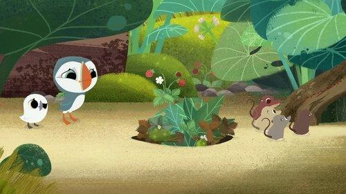 Puffin Rock Season 1 Episode 25 - Follow the Puffin