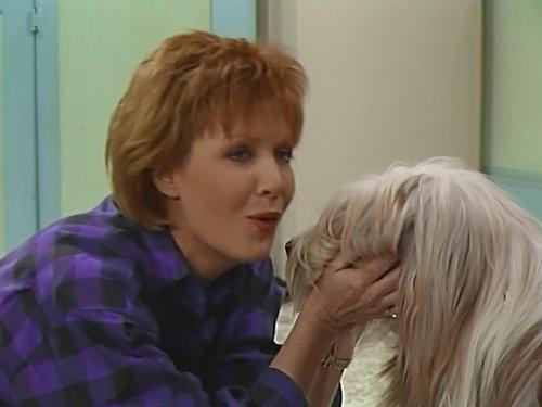 undefined Season 2 Episode 19 - You Ain't Nothin' But a Hound Dog