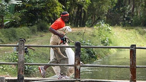 The Amazing Race Season 19 Episode 3 - Don't Lay Down On Me Now