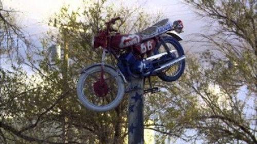 Counting Cars Season 3 Episode 9 - Horseplay