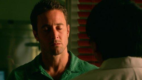 Hawaii Five-0 Season 2 Episode 3 - Kame‘e (The Hero)