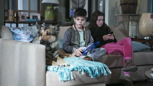 Inspetor Max Season 4 Episode 1 - À Noite no Forte