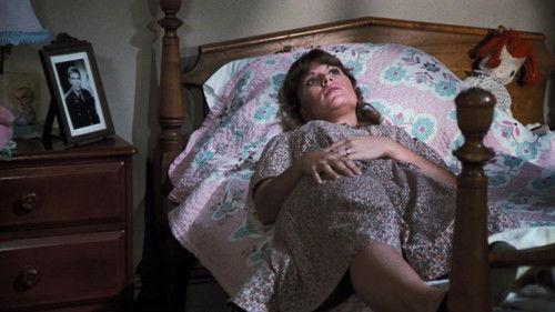 The Waltons Season 7 Episode 10 - Day of Infamy