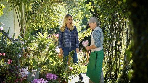 Hinter den Hecken Season 5 Episode 11 - Episode 11