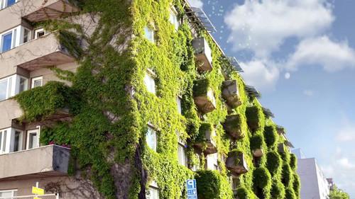 Scooby-Doo! Ecological Mission Season 1 Episode 2 - Episode 2