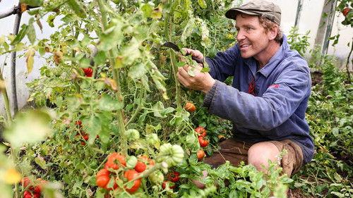 Frank & Kastaniegaarden Season 30 Episode 14 - Episode 14