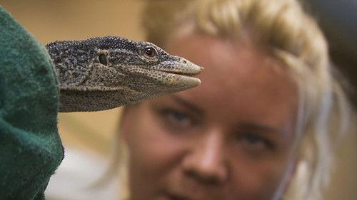 Dyrepasserne Season 9 Episode 7 - Episode 7