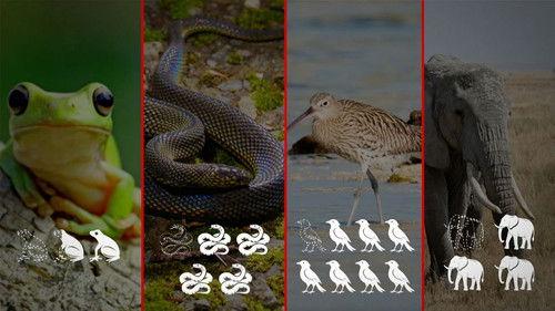 Mapping the World Season 36 Episode 17 - Biodiversity: SOS animals