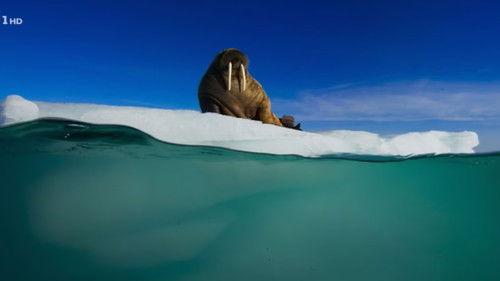 Superquark Season 25 Episode 7 - Alzheimer's, fighting fires, energy from organic waste