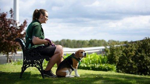 The Dog House Season 2 Episode 7 - Episode 7