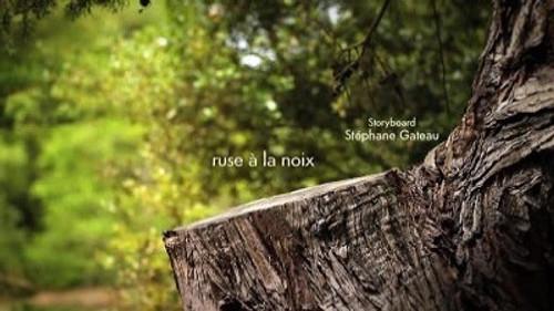 Minuscule: The Private Life of Insects Season 2 Episode 15 - A pathetic she'nut'igan