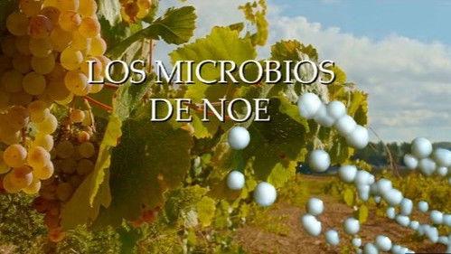 Planeta Microbio Season 1 Episode 6 - Episode 6