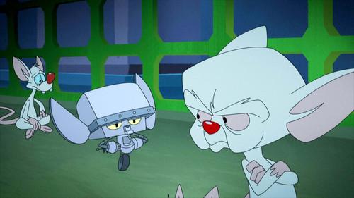 Animaniacs Season 1 Episode 12 - Ex-Mousina