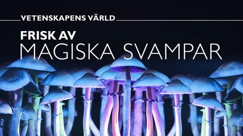 Vetenskapens värld Season 48 Episode 16 - Episode 16