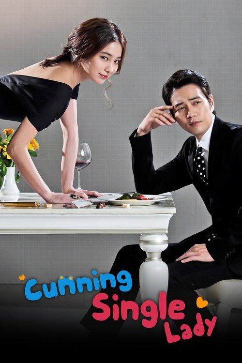 Cunning Single Lady poster