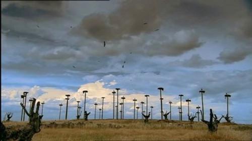 Natural World Season 24 Episode 12 - Portillo Goes Wild in Spain