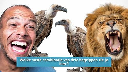 Ik Weet Er Alles Van! Season 7 Episode 14 - Episode 14