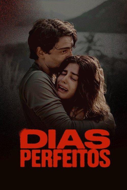 Perfect Days poster