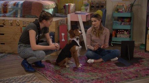 Side Hustle Season 1 Episode 12 - Dog WedDING!