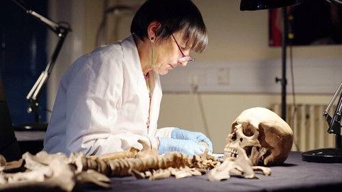 Treasures Decoded Season 4 Episode 4 - Episode 4