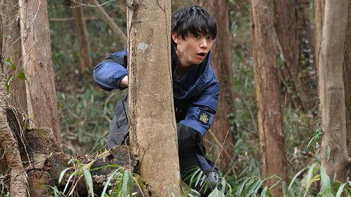 undefined Season 33 Episode 35 - Yearning 3: Big Sis Wish, Little Bro Wish