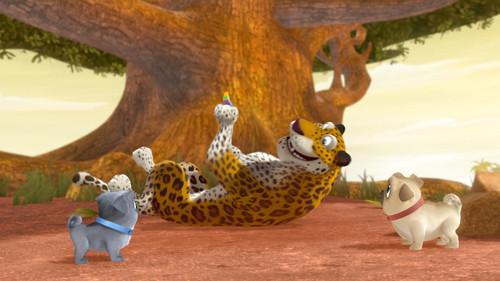 Puppy Dog Pals Season 2 Episode 25 - Speedy As A Cheetah