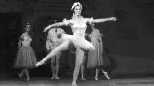 The investigation was conducted Season 5 Episode 14 - Episode 14