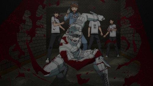 Cells at Work! Season 2 Episode 2 - Acquired Immunity/Peyer's Patch