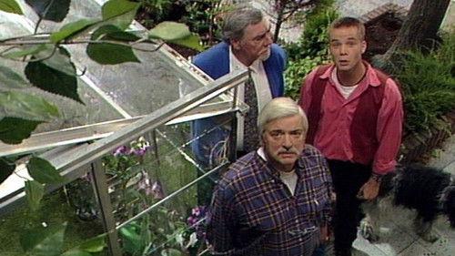 Oppassen!!! Season 6 Episode 9 - De boom