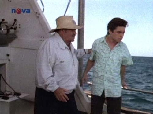 Jake and the Fatman Season 3 Episode 20 - Put Your Dreams Away