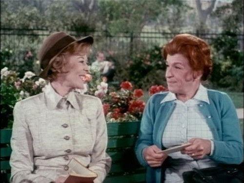 Family Affair Season 5 Episode 17 - Too Late, Too Soon