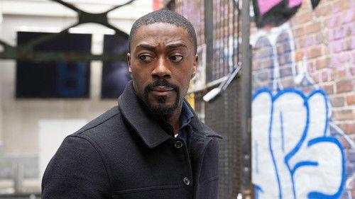 Law & Order Season 25 Episode 13 - New Normal