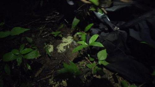 Amazonas Clandestino Season 1 Episode 2 - The way of cocaine