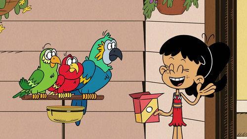 The Loud House Season 9 Episode 23 - Swimming Fools