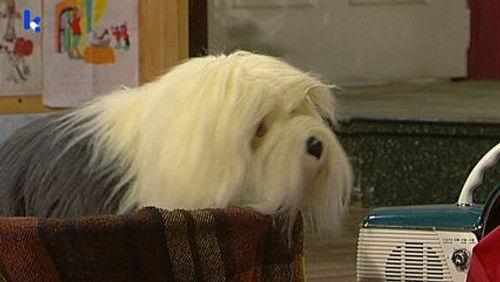 Samson & Gert Season 13 Episode 21 - De pianospeelzalf