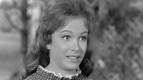 Petticoat Junction Season 1 Episode 7 - The Ringer