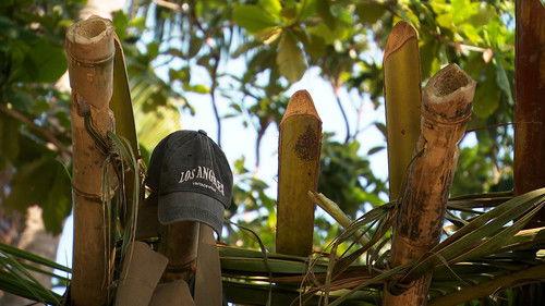 Robinson Season 25 Episode 21 - Episode 21