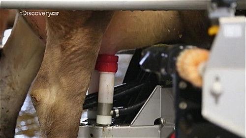 How to Build... Everything Season 1 Episode 3 - Inside a Super Stadium