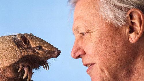 The Life of Mammals Season 1 Episode 10 - Food for Thought