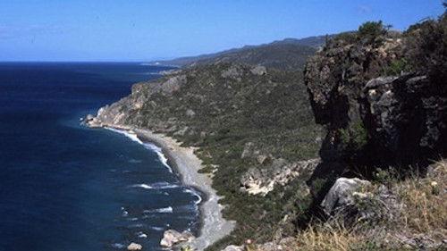 Natural World Season 24 Episode 6 - Cuba: Wild Island Of The Caribbean