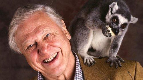 undefined Season 1 Episode 9 - Social Climbers