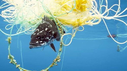 Countryfile Season 35 Episode 15 - Plant Britain by the Sea