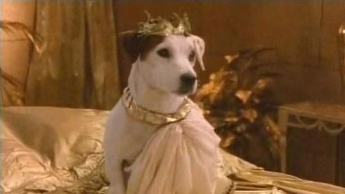 Wishbone Season 1 Episode 36 - The Entrepawneur