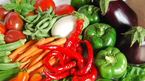 Pet Star Season 2 Episode 6 - Pet Star: 21