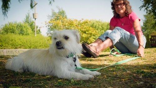 The Dog House Season 8 Episode 4 - Episode 4