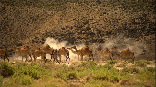 Faces of Earth Season 1 Episode 2 - Shaping the Planet