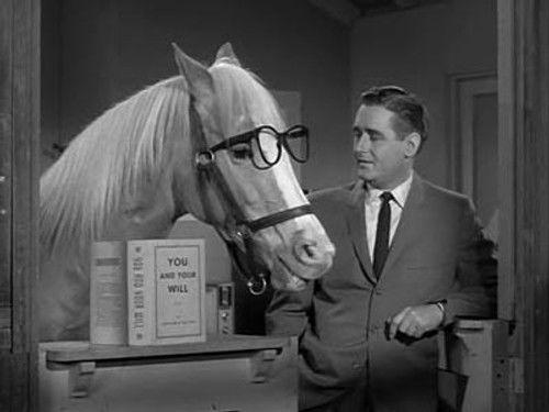 Mister Ed Season 2 Episode 14 - Ed the Beneficiary