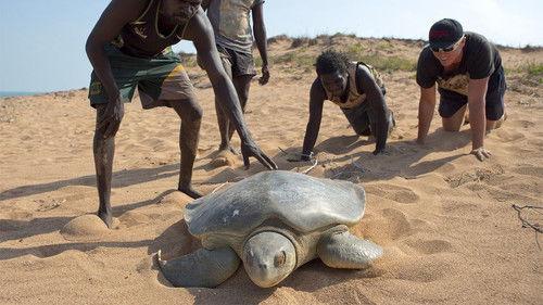 Black As Season 1 Episode 7 - Island of Plenty